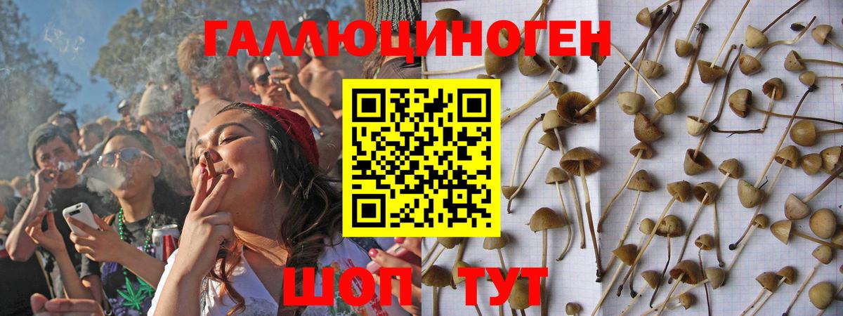 Псилоцибиновые грибы ЛСД Алапаевск