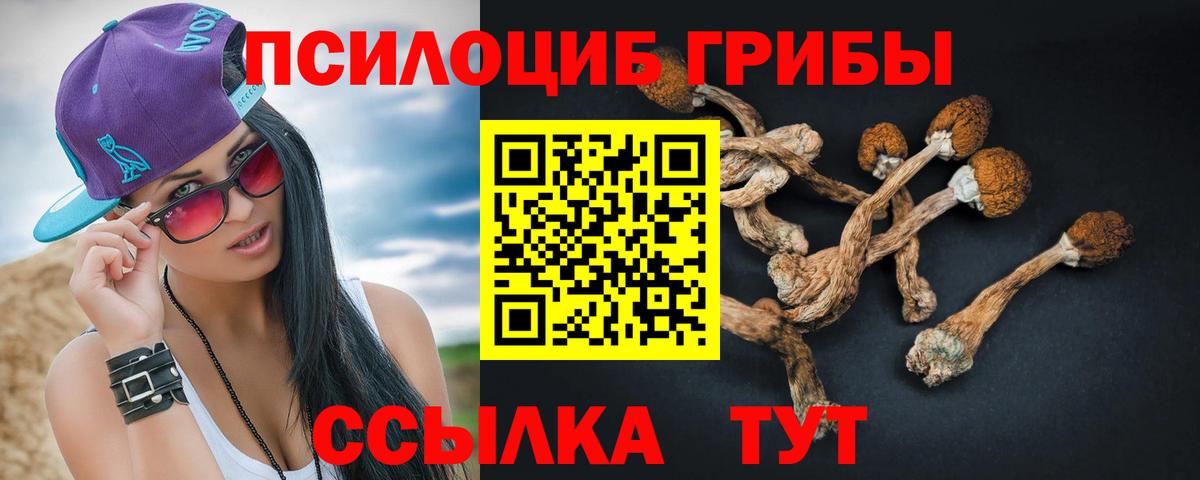 Псилоцибиновые грибы прущие грибы  Псилоцибиновые грибы ЛСД  Вход с VPN  что такое наркотик  Алапаевск 